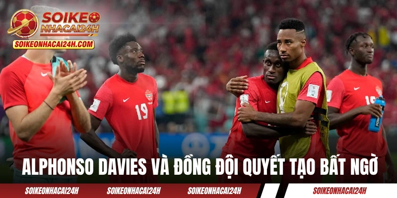 Đội Tuyển Canada - Cơn Lốc Đỏ Bắc Mỹ Cùng Thế Hệ Vàng Alphonso Davies và đồng đội quyết tạo bất ngờ trên sân nhà